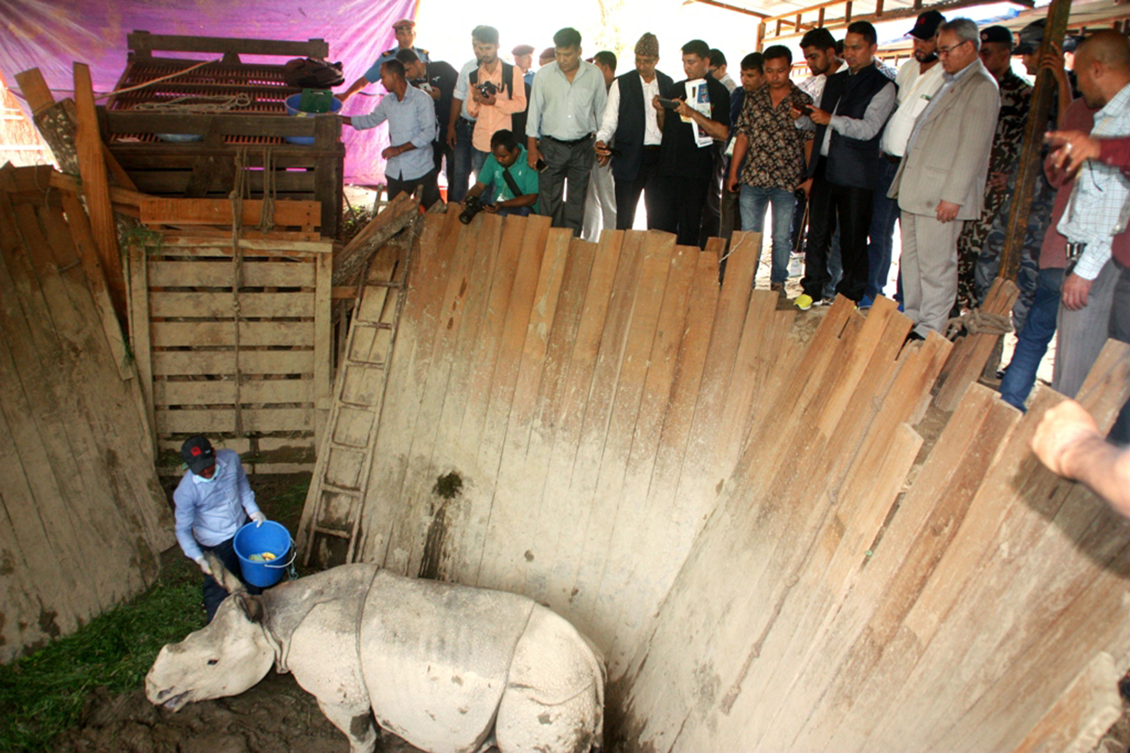 गृहमन्त्री थापा गैंडा अवलोकन