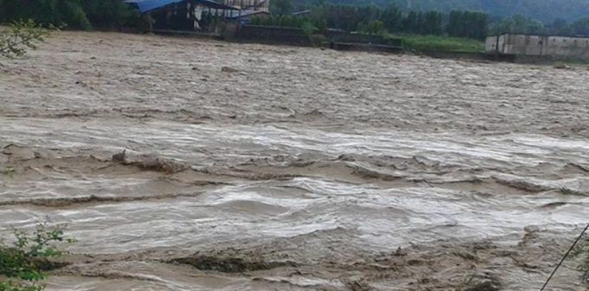 नारायणी नदीको भङ्गालोको त्रास बोटे वस्तीमा