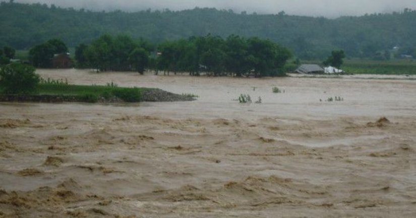 Floods damage Kiwi saplings worth million rupees