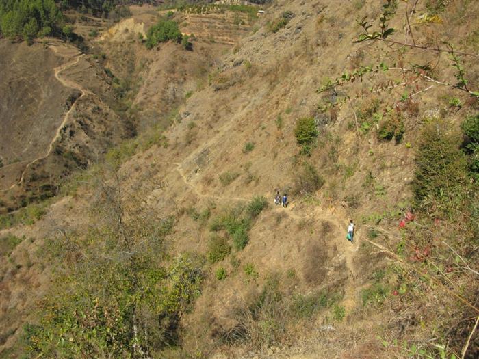 भिरबाट लडेर किशोरीको मृत्यु