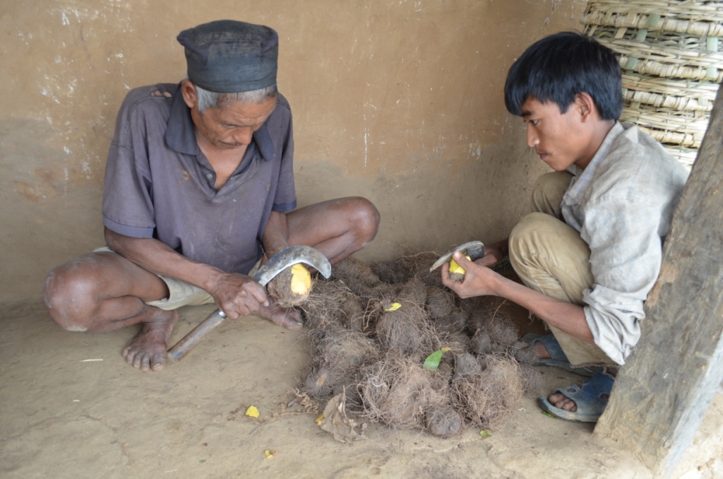 चेपाङले मनाए ‘न्वागी’