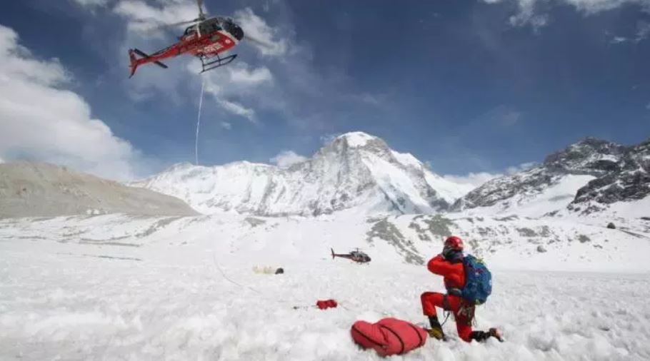 फेक रेस्क्यूमा संलग्न १७ कम्पनीलाई कारबाही सिफारिस