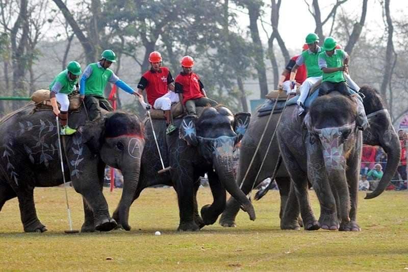 हात्ती पोलोमा खैरहनी नगरपालिका विजयी