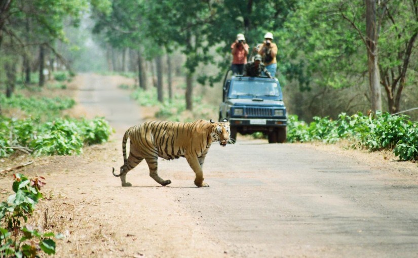 पर्यटकका लागि पटिहानीमा जिप सफारी शुरु