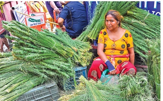 आज कुशे औँसी, पिताको आशीर्वाद लिइँदै