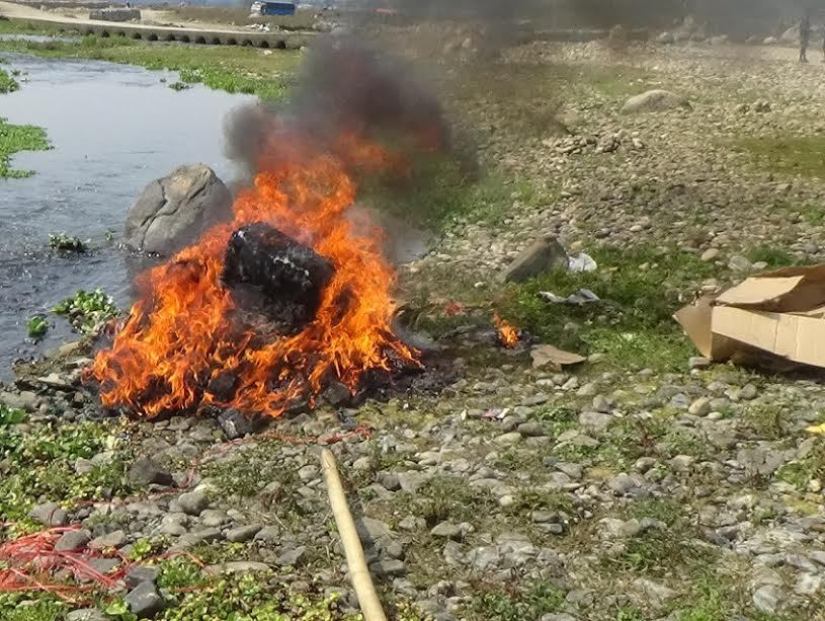 कलैयामा अवैध लागुऔषध  नष्ट