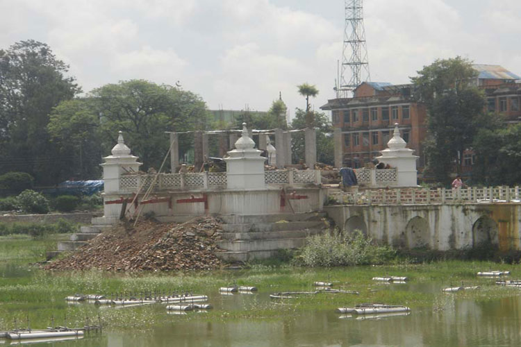 उपत्यकाका नेवार समूदायद्वारा रानी पोखरीको सरसफाई