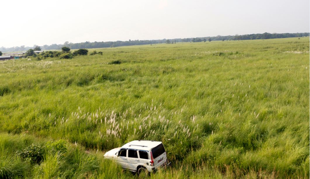 शुक्लाफाँटाको घाँसे मैदानमा वैज्ञानिक अनुसन्धान