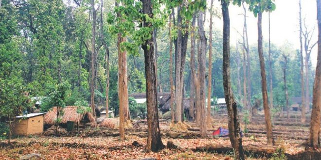 वन क्षेत्र अतिक्रमणको चपेटामा