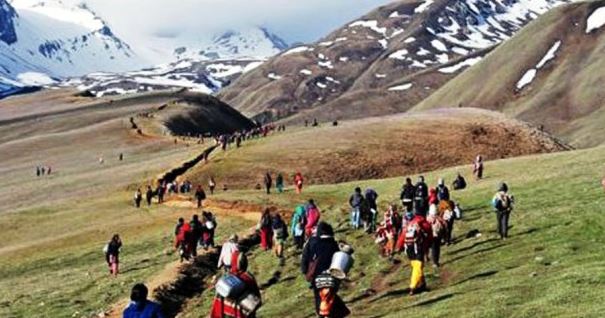 मनाङको नाम्के खर्कबाट यार्सागुम्बा सङ्कलन सुरु