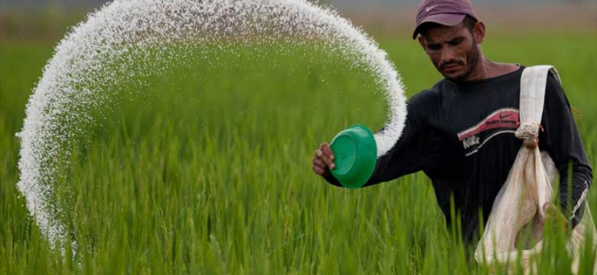 डिएपी आइसक्यो, युरिया असारको पहिलो सातादेखि भित्रिन थाल्छ : साल्ट ट्रेडिङ