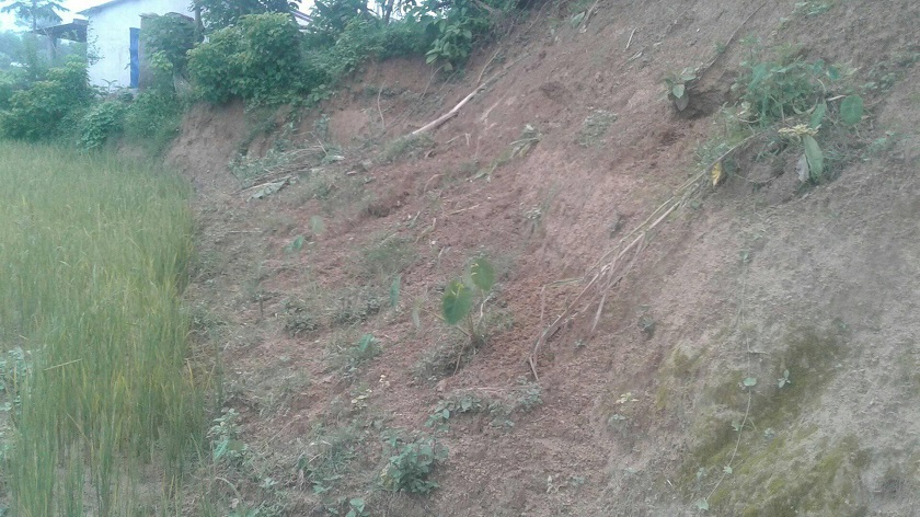 पहिरोले गोरखाको झोङगाउँका १० घर जोखिममा, फापर तथा तोरी बारीसमेत नष्ट