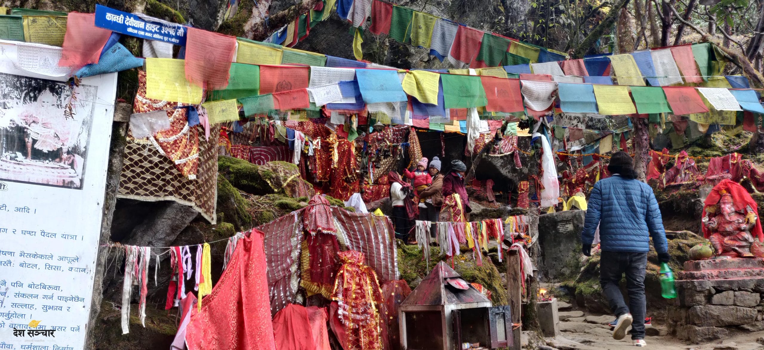 पाथीभरामा १०० दिनमा आम्दानी ६६ लाख बढी भेटी संकलन