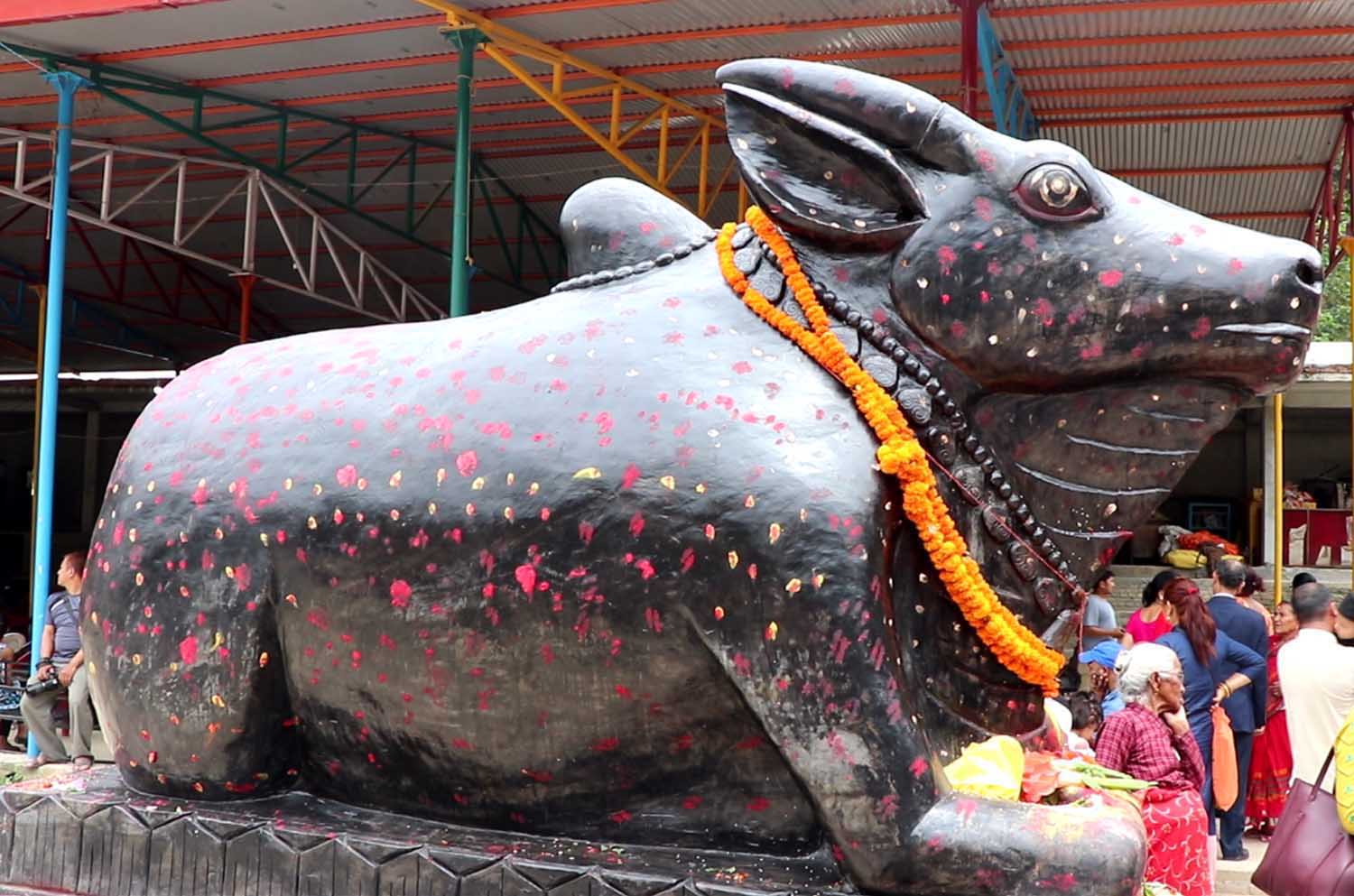 डोलेश्वर महादेव मन्दिरमा महादेवको बाहन बसाहा