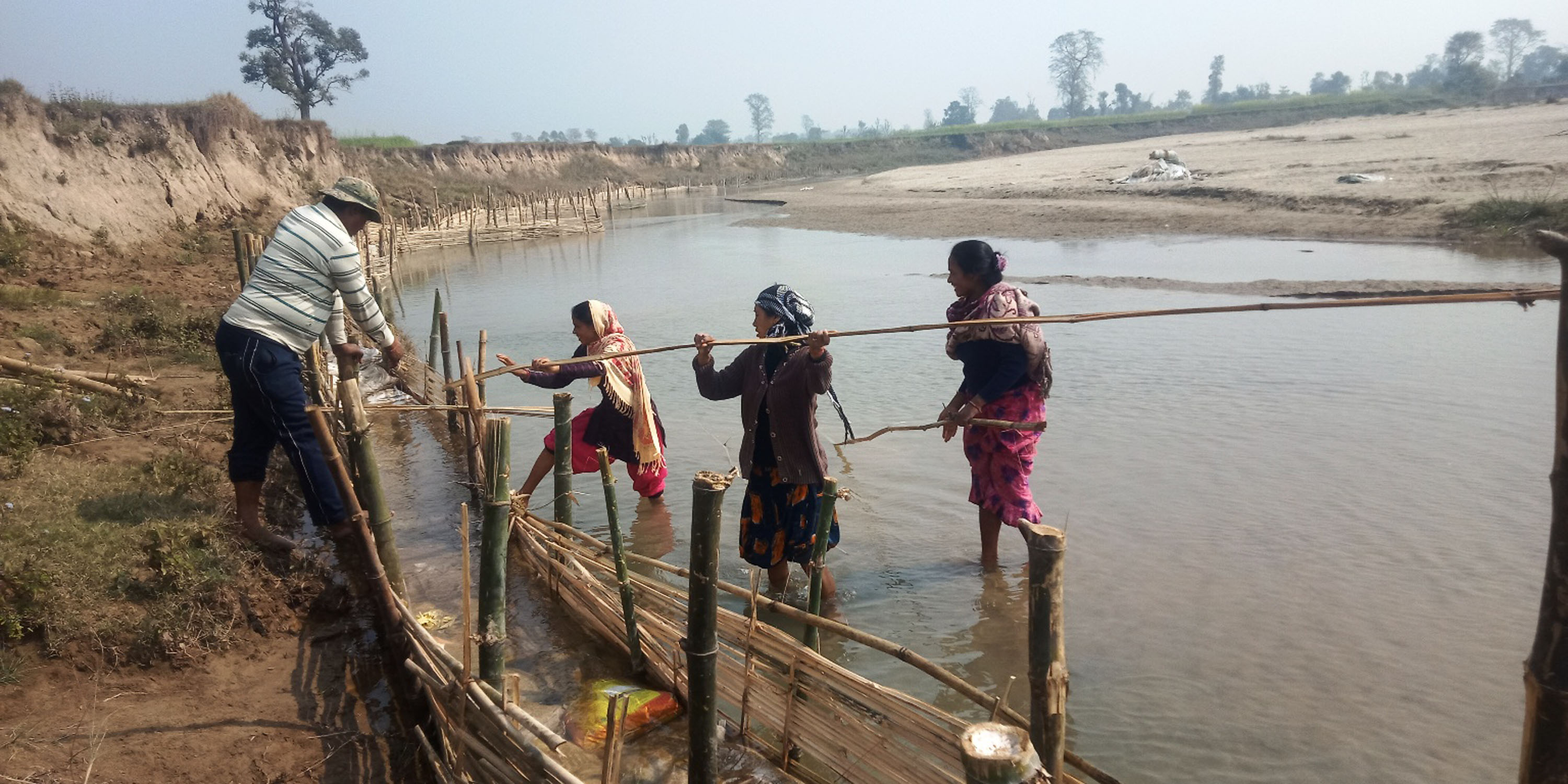 बाँसको जैविक तटबन्ध निर्माण