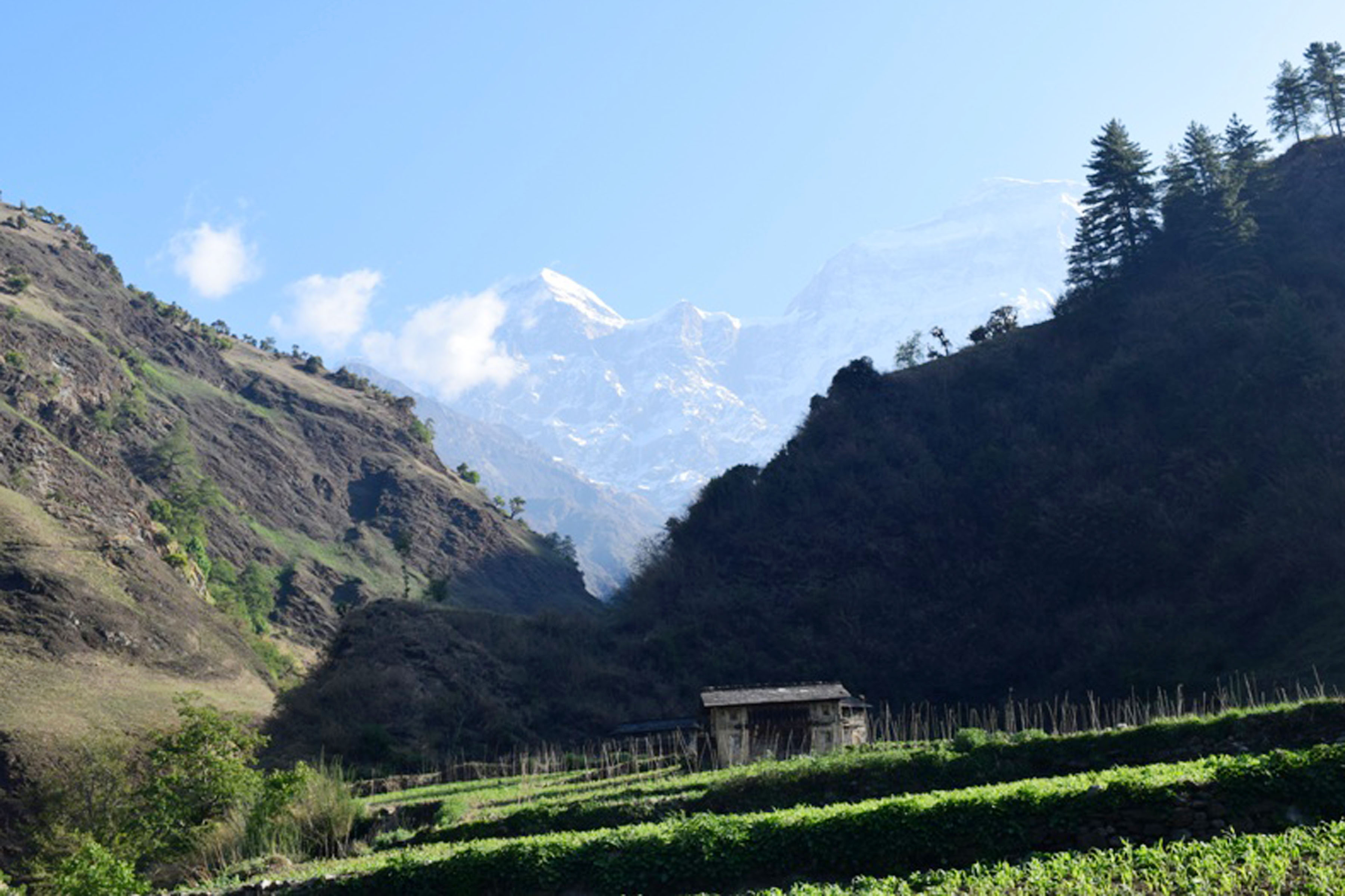 धौलागिरिको गुर्जा हिमाल