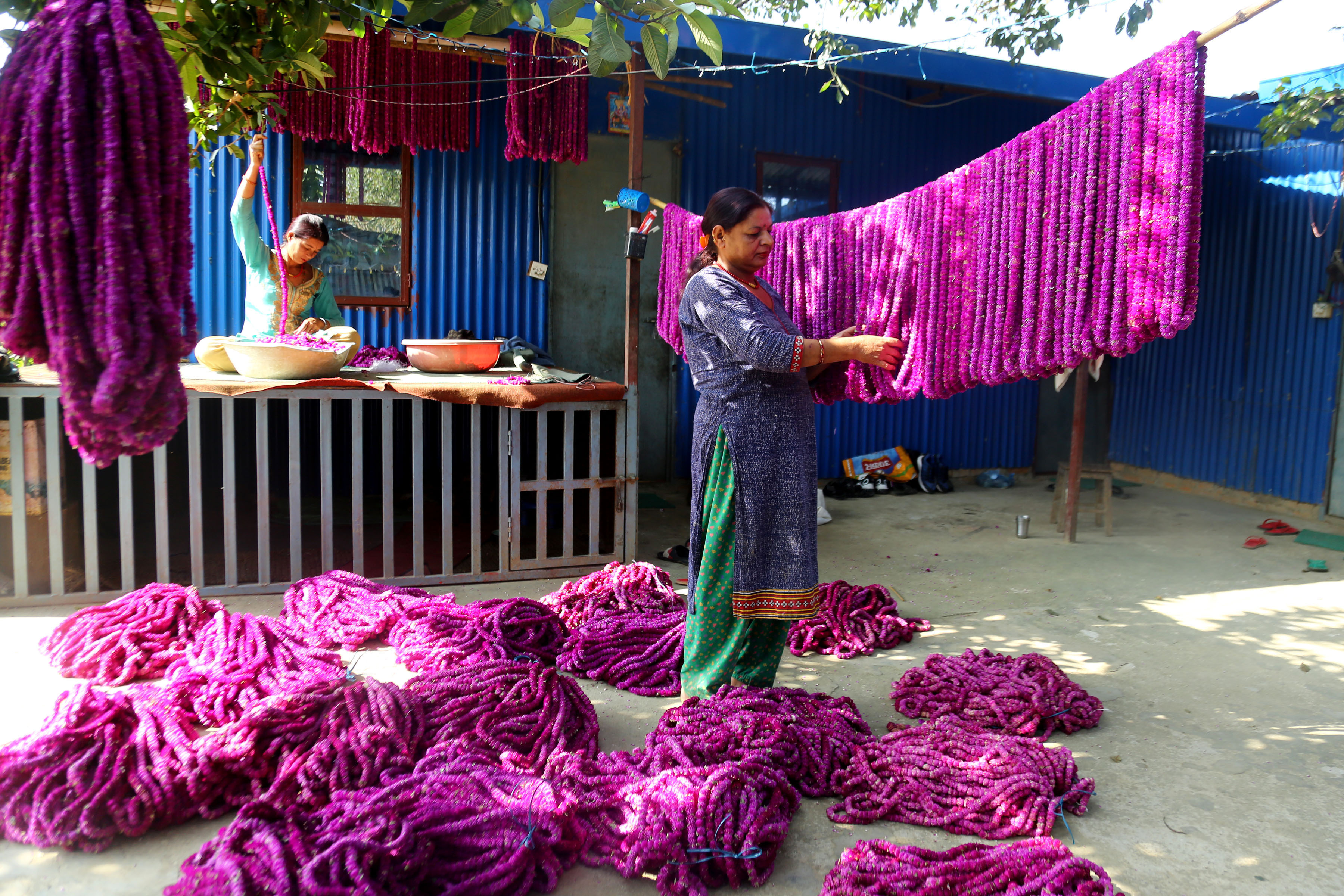 मखमली फूलको माला तयार गर्दै