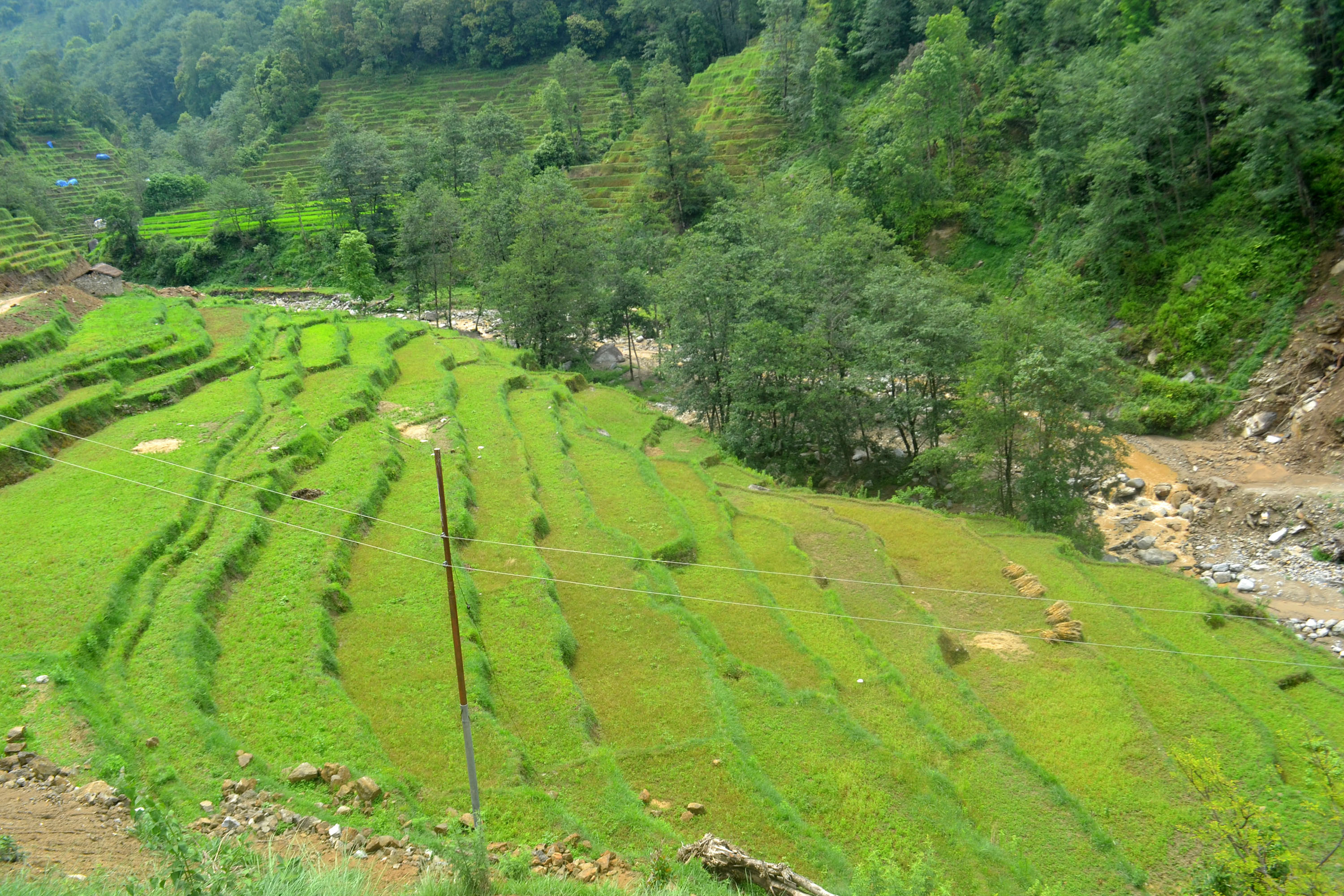 शिवपुरीमा बाँझो खेत