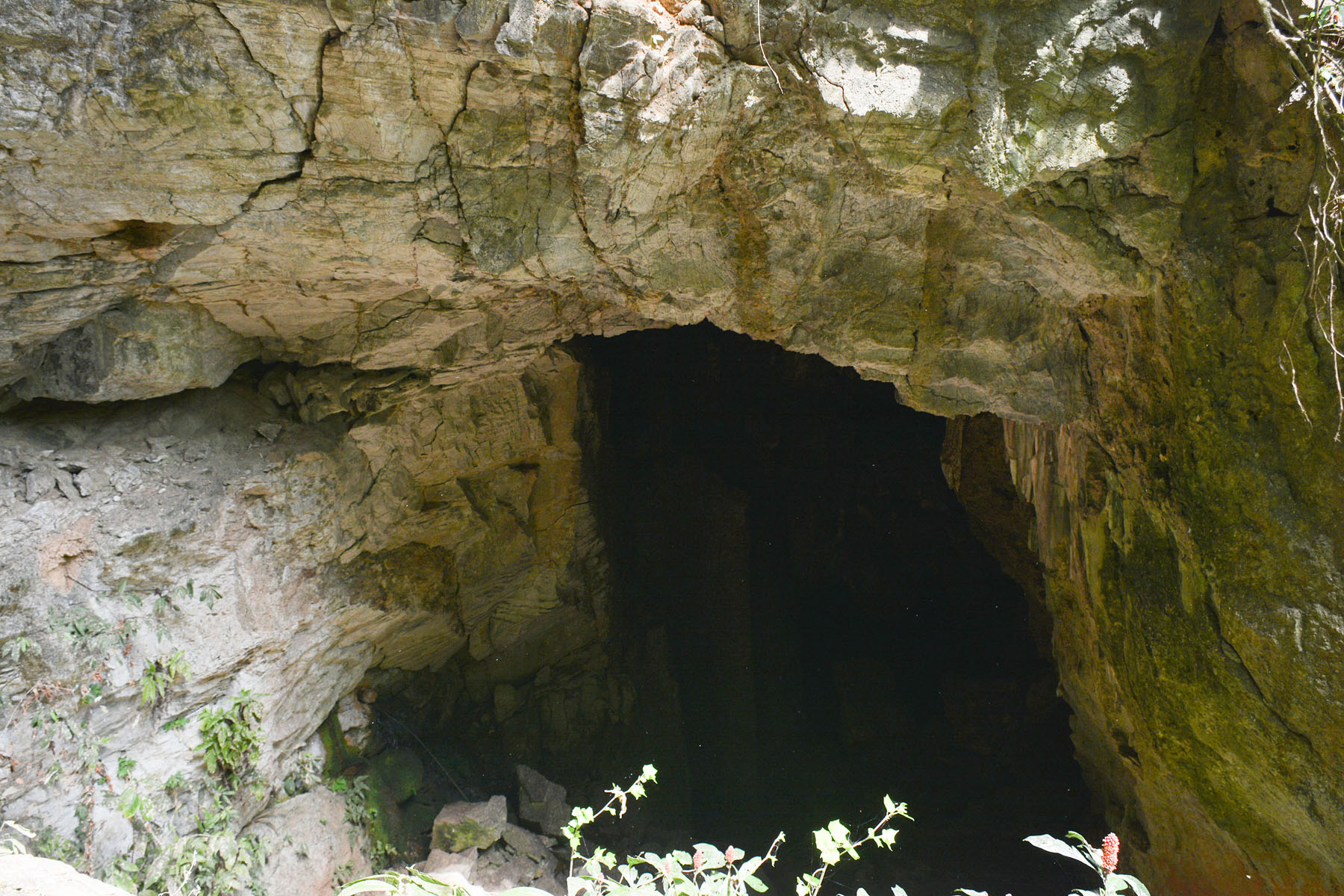 ओझेलमा परेको तनहुँको चमेरो गुफा