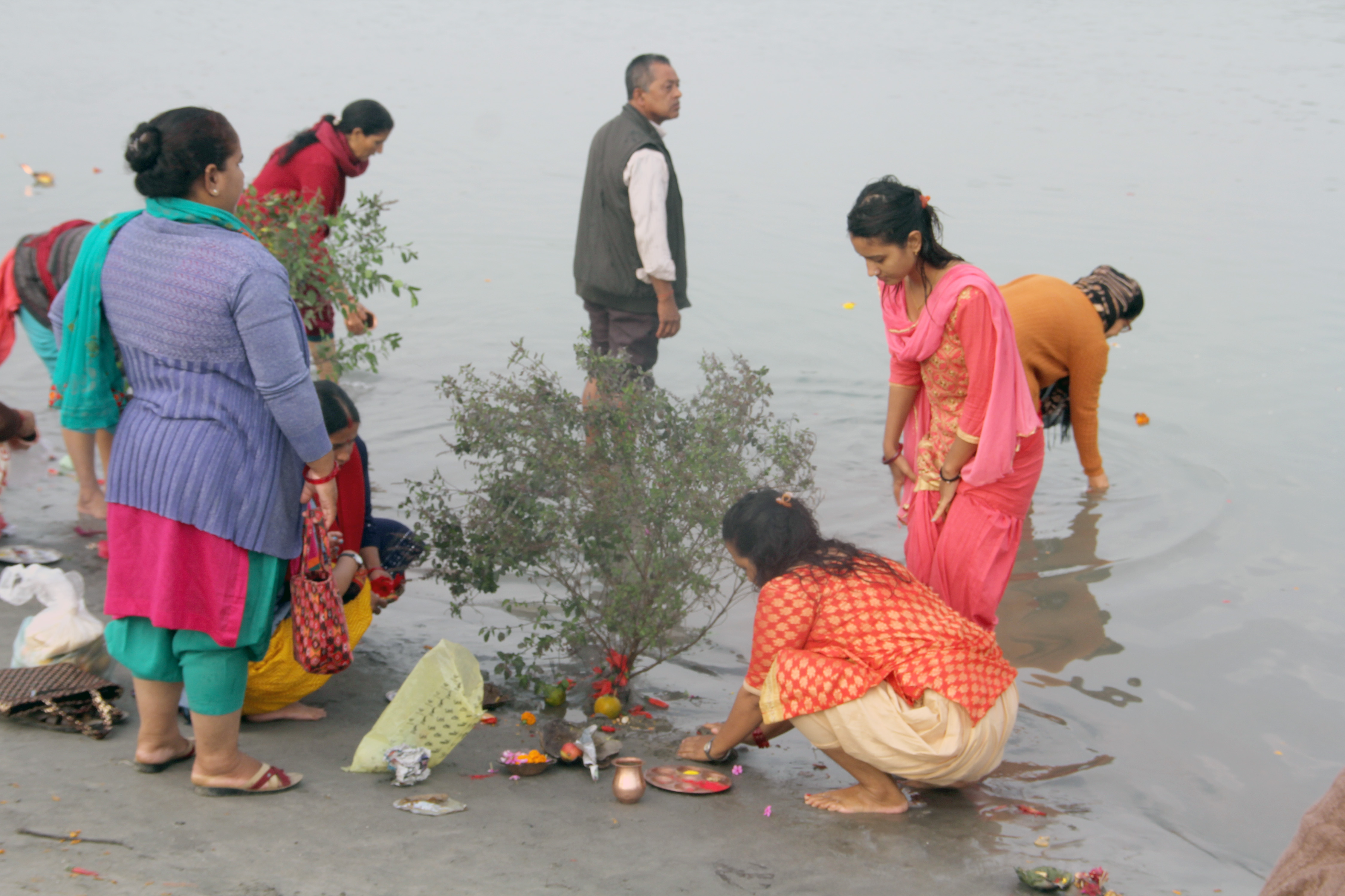 मनाइयो हरिबोधिनी एकादशी