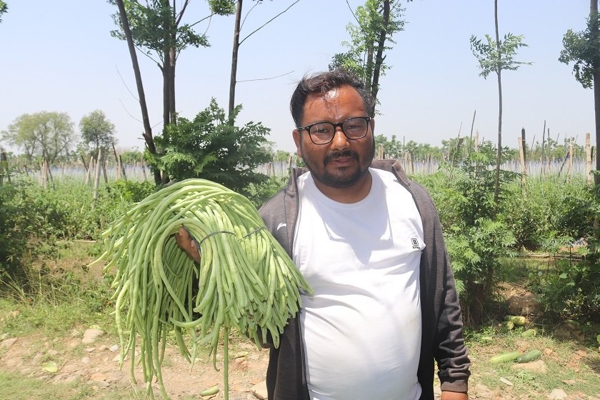 जग्गा भाडामा लिएर व्यावसायिक तरकारी खेतीमा रमाउँदै युवा महेन्द्र खड्का