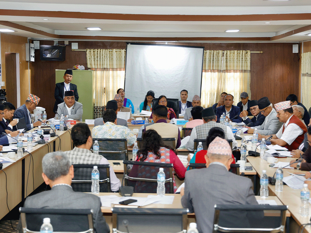 राज्य व्यवस्था समितिको बैठक बिचैमा स्थगित
