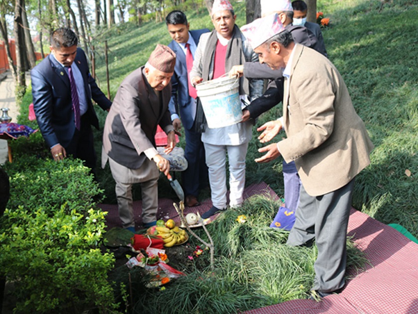 राष्ट्रपति पौडेलद्वारा वनकालीमा वृक्षारोपण