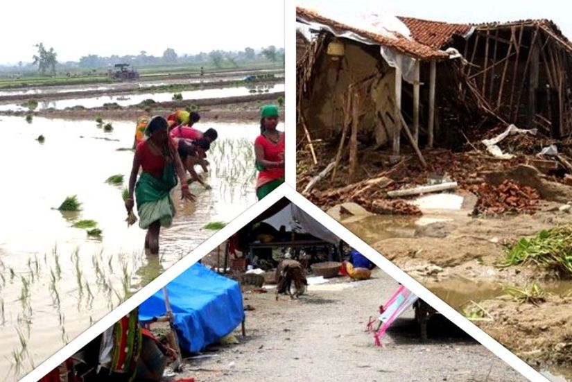 यो वर्षको वर्षा, कतै डुवानको पीडा, कतै रोपाइँ भएकोमा खुशीयाली