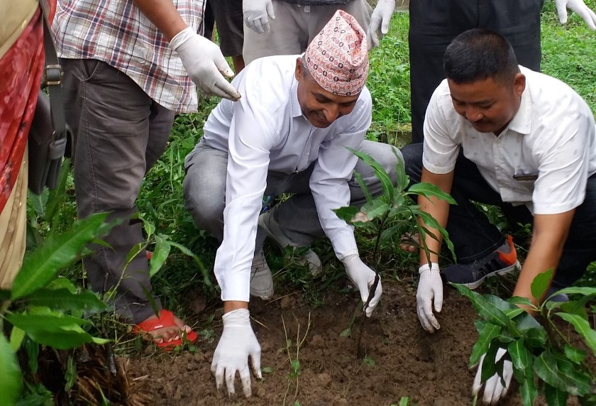 बगैँचा अभियान : छेच्यु थर्पलीङ गुम्बा परिसरमा रोपियो विरुवा