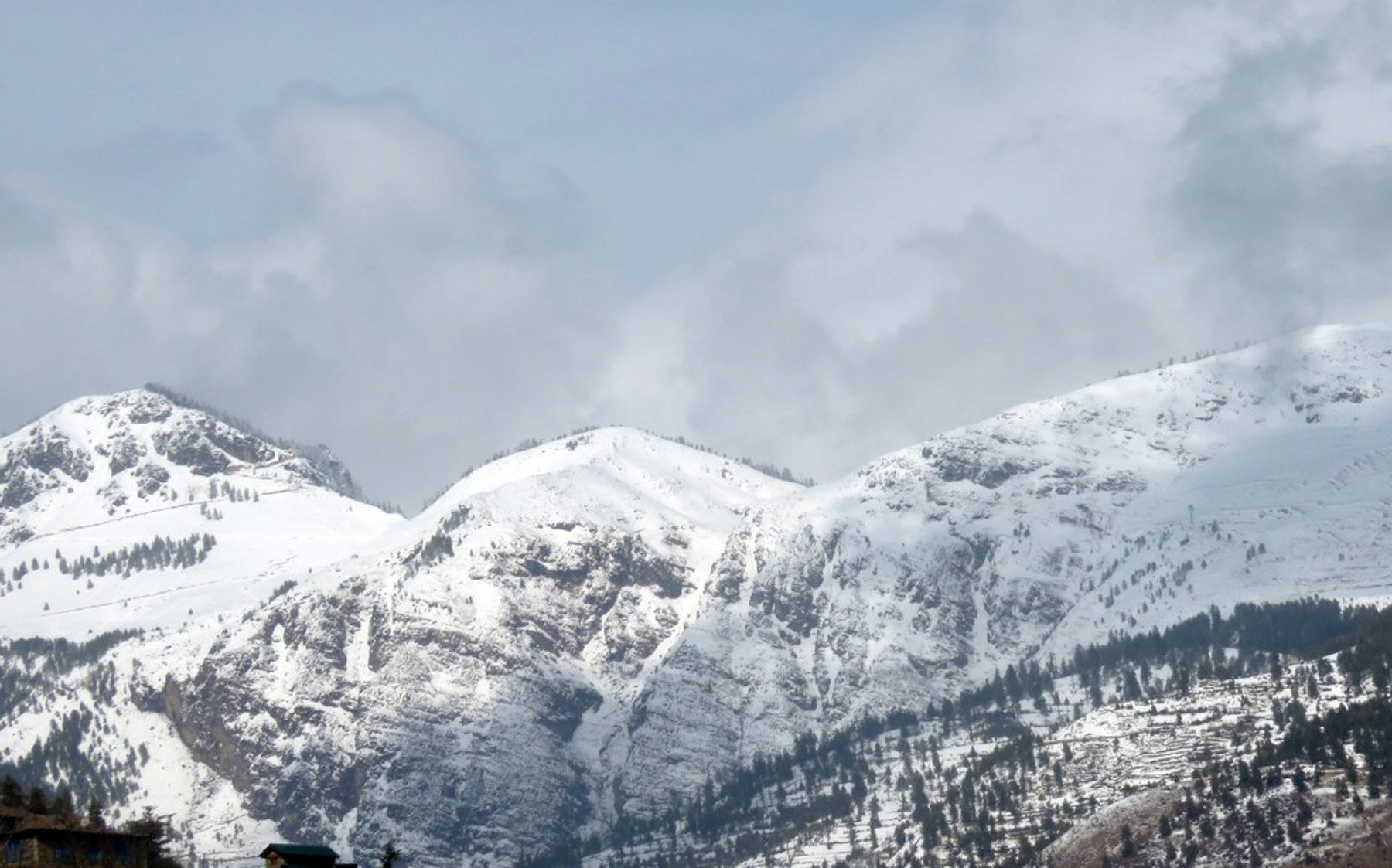 हिमपातका कारण खान नपाएर मुस्ताङमा १४ सय पशु मरे