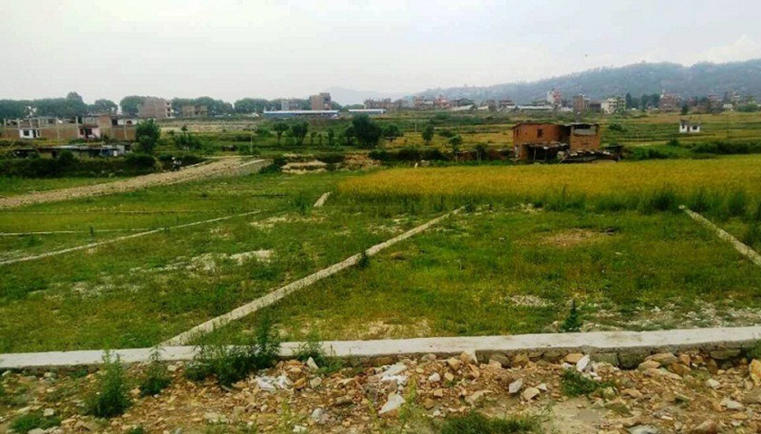 यसरी गरे भूमाफियाले बानेश्वरमा ११ रोपनी जग्गा कब्जा