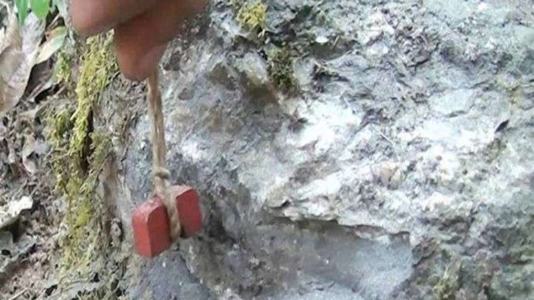वैशाखदेखि दैलेख र पाल्पाका पेट्रोलियम  खानी उत्खनन हुने