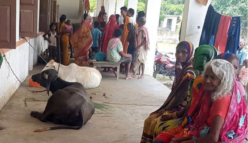 बाढीको वितण्डा : पशुसँगै सुत्छन् बाढीपीडित