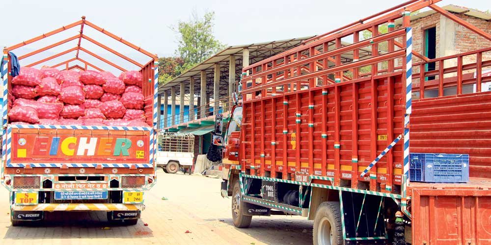 विषादीयुक्त सागसब्जी र फलफूल : धमाधम भित्रिन थाले