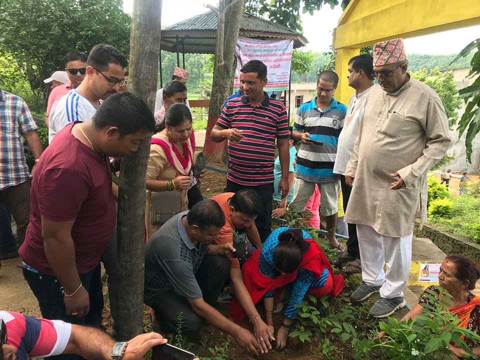 वी.पी. कोईरालाको स्मृति दिवसमा हेटौंडाको रुद्रेश्वर मन्दिर परिसरमा बृक्षारोपण