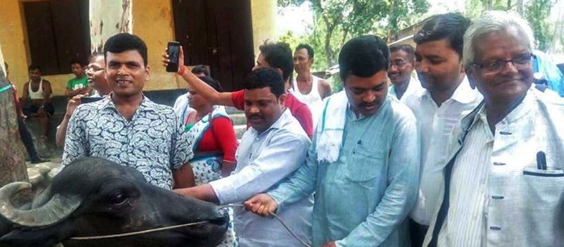 सहिद परिवारका नामको दुहुनो भैँसी पूर्वमन्त्रीले मुस्कुराउँदै लगे, सहिद परिवार जिल्ल