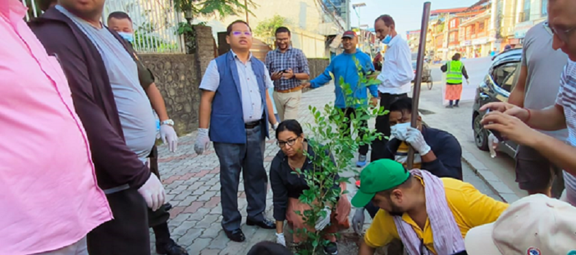 भरतपुरमा हरियाली प्रवर्द्धनका लागि पाँच करोड