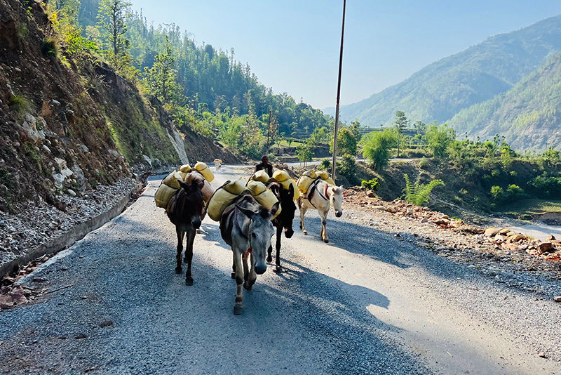 भेरी करिडोरको १६ किलोमिटर पिच अन्तिम चरणमा