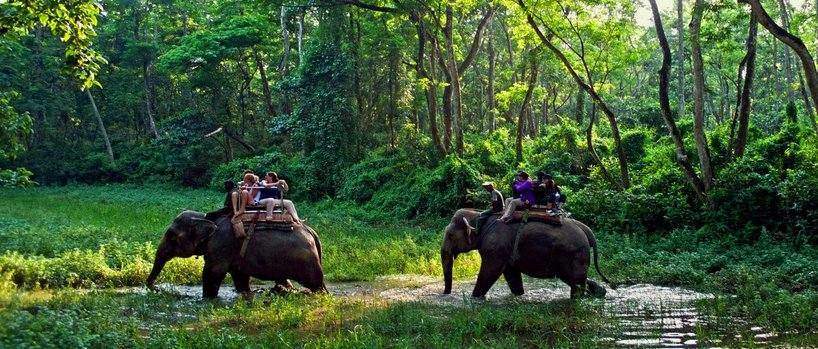 पर्सा राष्ट्रिय निकुञ्जमा पर्यटक आगमन वृद्धि