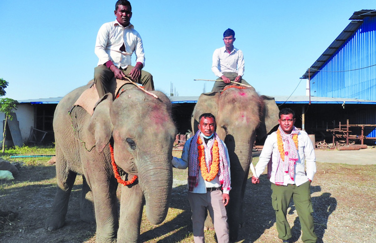 रुद्रकली र खगेन्द्रप्रसाद पुगे भैरहवा, भोलि कतार उड्दै