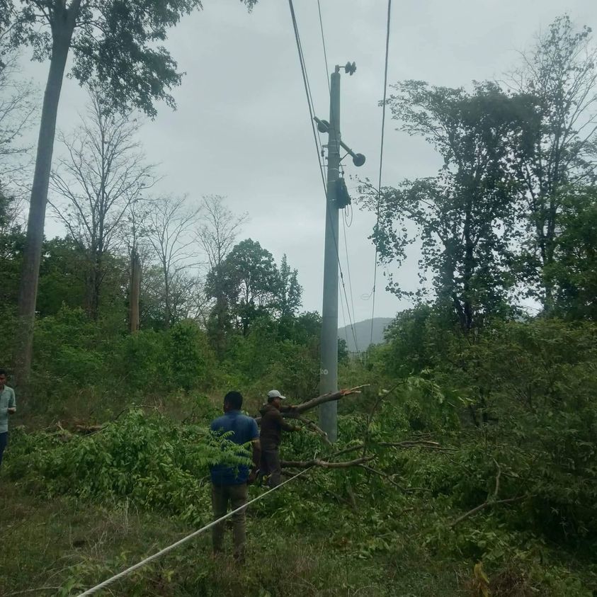 हावाहुरीका कारण रूख ढल्दा कर्णालीमा विद्युत् सेवा अवरुद्ध