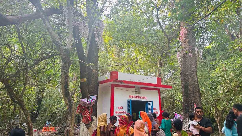 नयाँ वर्षको रौनक : सलहेश फूलबारीमा सुनाखरी हेर्न आउन थाले पर्यटक