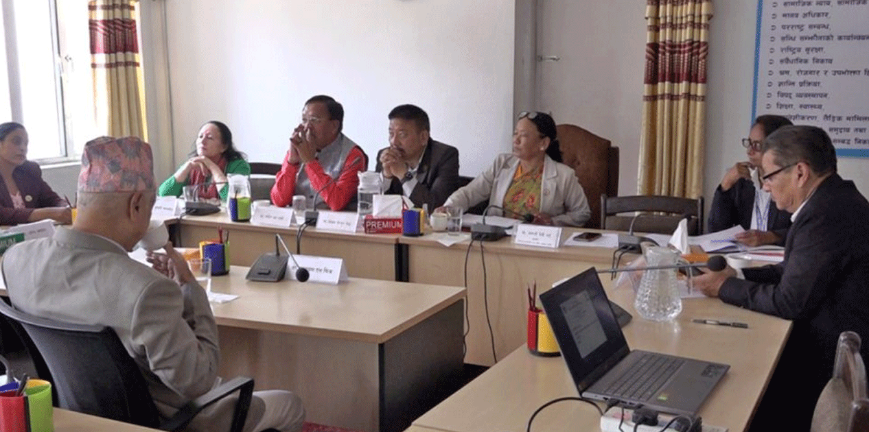 राष्ट्रिय सभा समितिद्वारा तीन संसदीय उपसमिति गठन