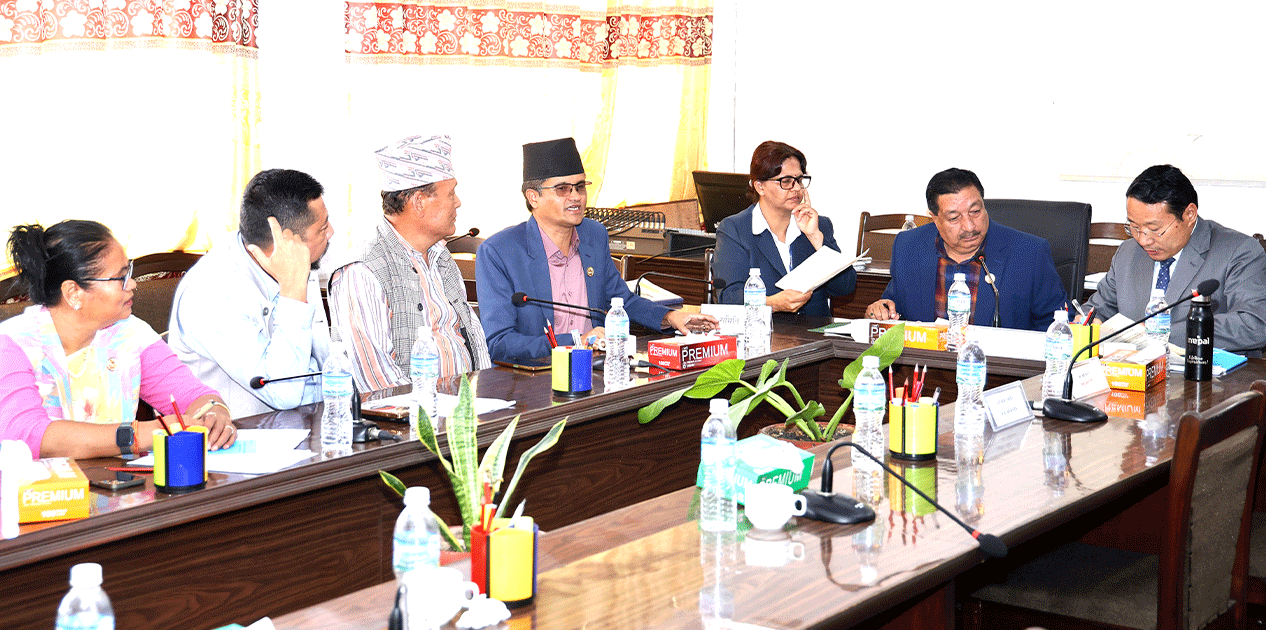‘पैसा खाएकालाई थुन्ने होइन, तिराउने हो’ : अर्थ समिति सभापति चालिसे