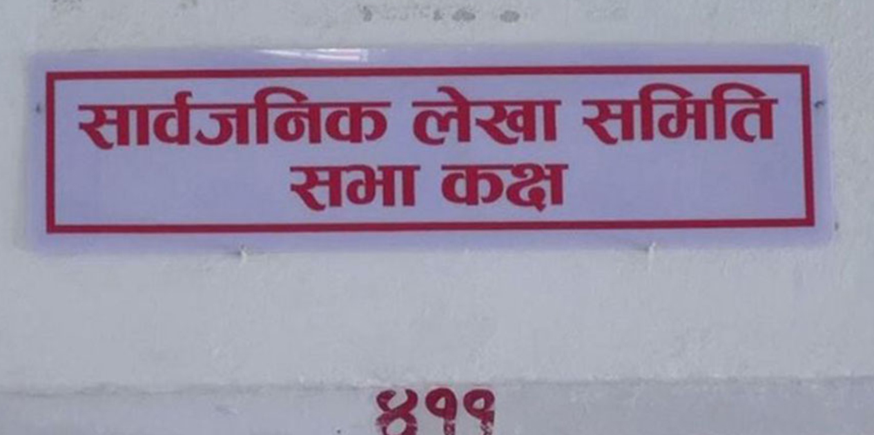 सार्वजनिक लेखा समितिको बैठक स्थगित