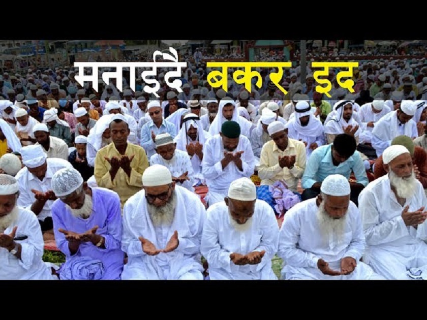 इस्लाम धर्मावलम्बीकोे महान चाड बकरीद पर्व मनाइँदै