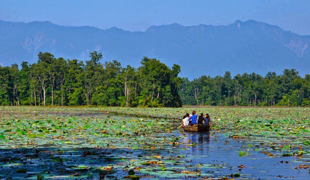 हसिना सिमसार क्षेत्र पर्यटकीय गन्तव्य