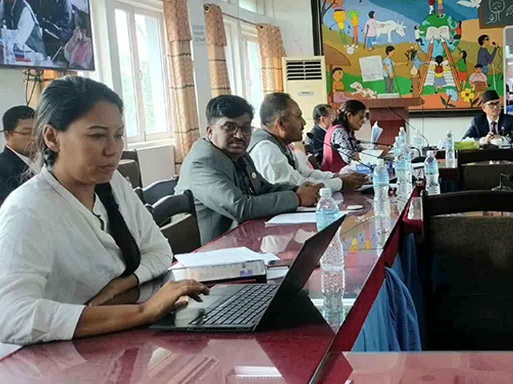 ‘हेलिकप्टरबाट हेर्न जाँदैमा मधेशमा पानी आउँदैन’: सांसद सुमना श्रेष्ठ