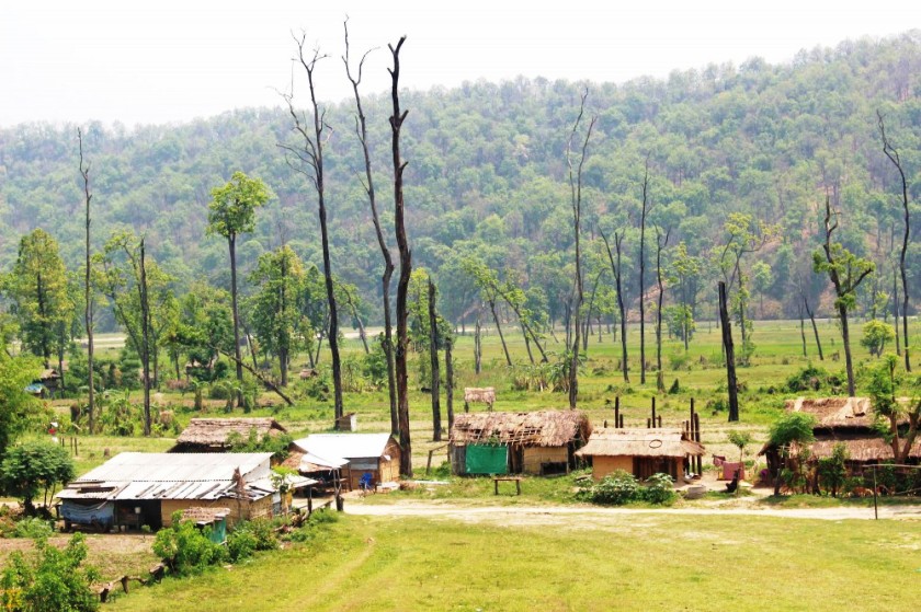 बाँदरझुलाको बाटोको सम्झना