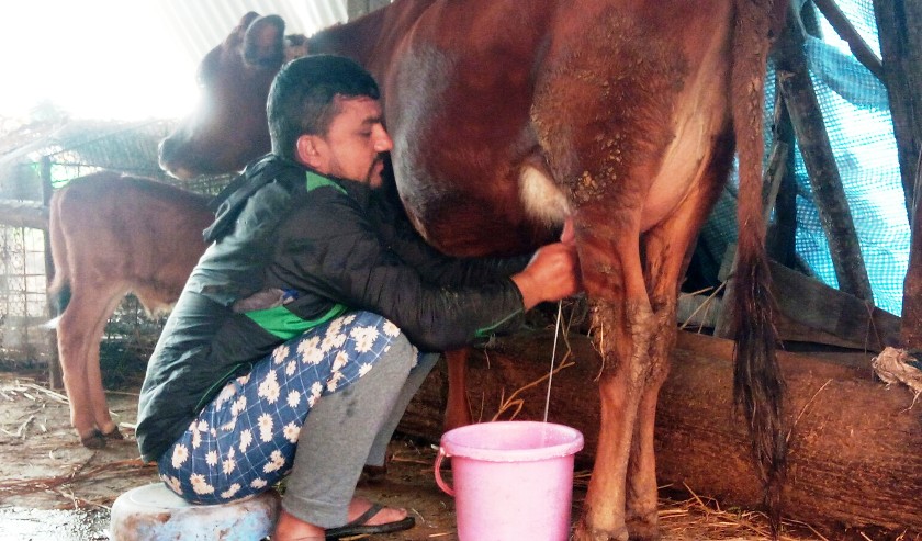 लण्डनमा नौ वर्ष बिताएर फर्केका टीकारामलाई स्वरोजगार नै अपार